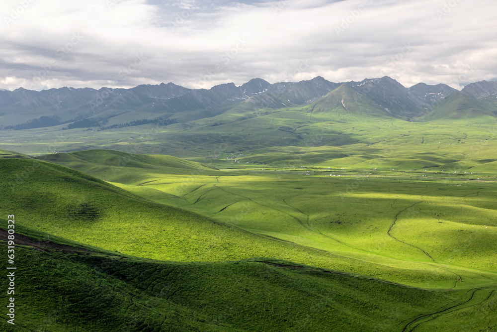 Obraz premium Natural scenery of Narat prairie in Xinjiang