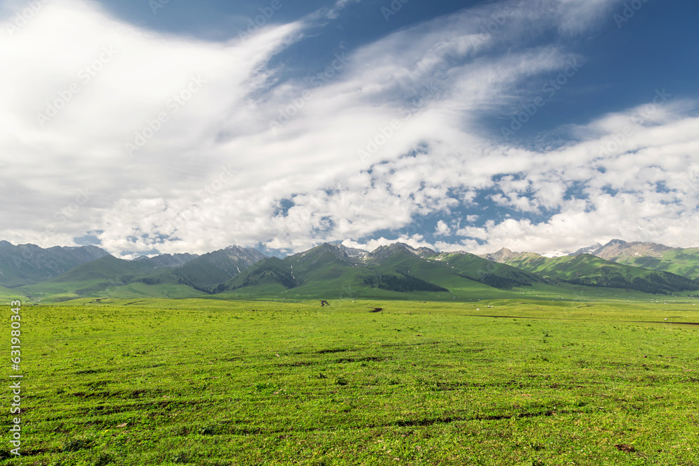 Natural scenery of Narat prairie in Xinjiang