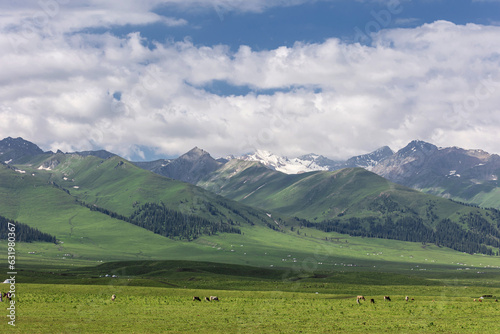 Natural scenery of Narat prairie in Xinjiang