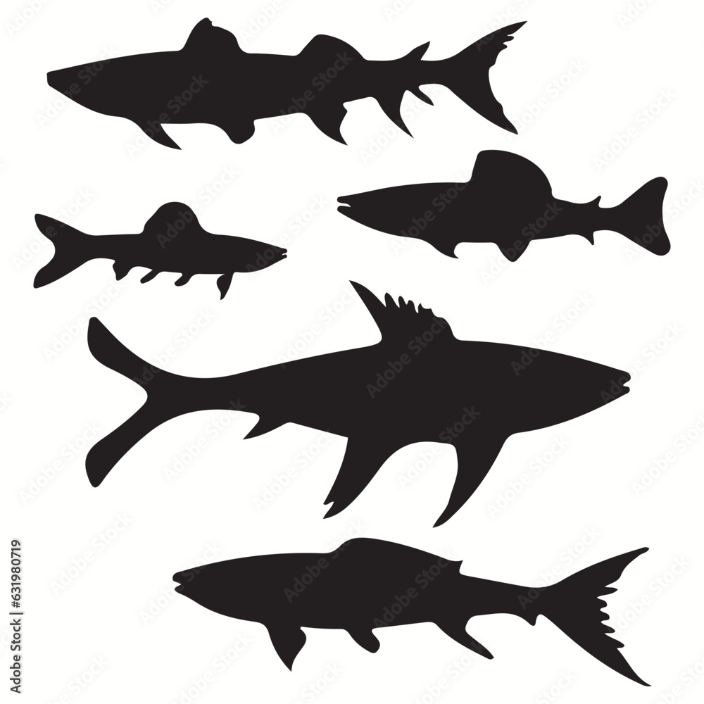 Barracuda silhouettes and icons. Black flat color simple elegant Barracuda animal vector and illustration. Barracuda silhouettes and icons. Black flat color simple elegant Barracuda animal vector and illustration.