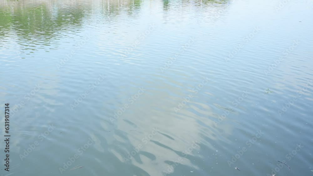reflection of green tree in the water, closeup surface of the river on sunny day, slowmotion scene reflection of green tree in the water, closeup surface of the river on sunny day, slowmotion scene