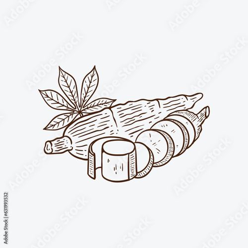Obraz na płótnie hand drawn cassava illustration