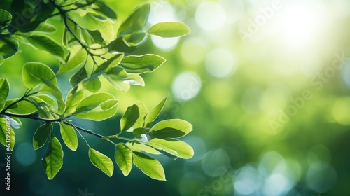 Beautiful natural spring summer defocused panoramic background frame with fresh juicy foliage and bokeh outdoors in nature. Generative AI