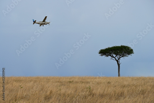 African landscape with a lone tree and an airplane