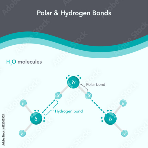 Polar and Hydrogen Bonds chemistry vector illustration diagram