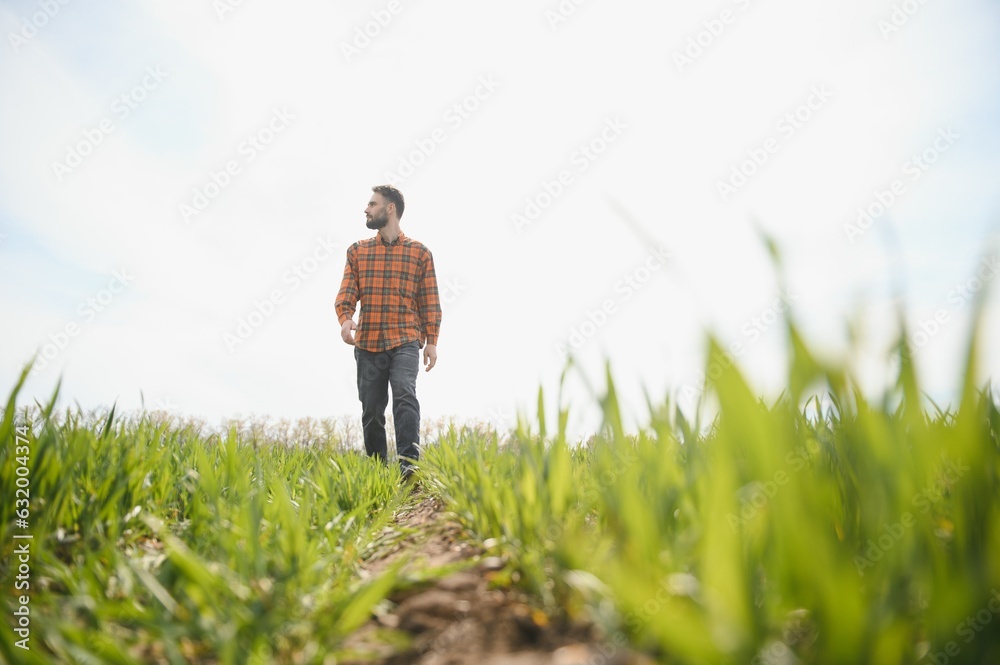 Portrait of farmer standing in field. Portrait of farmer standing in field.