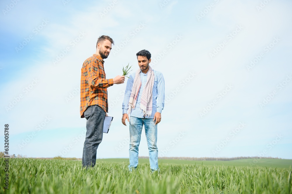 Two indian farmer standing at agriculture field. The concept of agriculture Two indian farmer standing at agriculture field. The concept of agriculture