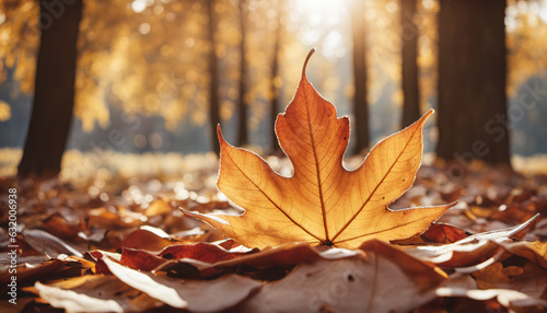 closeup of an autumn leaf laying on forest floor with warm sunlight behind  generative AI