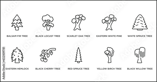 nature outline icons set. thin line icons such as scarlet oak tree, eastern white pine tree, white spruce tree, eastern hemlock black cherry red spruce yellow birch vector.