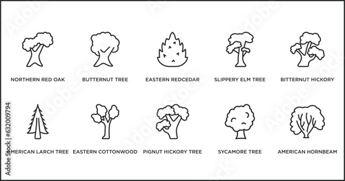 nature outline icons set. thin line icons such as eastern redcedar tree, slippery elm tree, bitternut hickory tree, american larch eastern cottonwood pignut hickory sycamore vector.