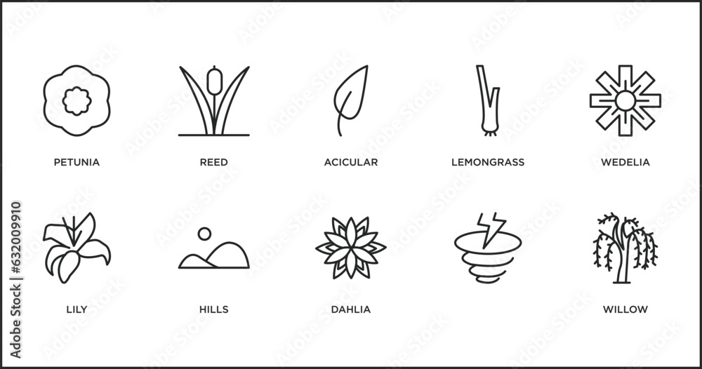 nature outline icons set. thin line icons such as acicular, lemongrass, wedelia, lily, hills, dahlia, vector.