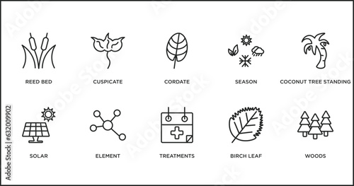 nature outline icons set. thin line icons such as cordate, season, coconut tree standing, solar, element, treatments, birch leaf vector. photo