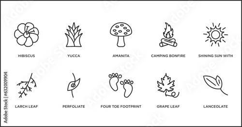 nature outline icons set. thin line icons such as amanita  camping bonfire  shining sun with rays  larch leaf  perfoliate  four toe footprint  grape leaf vector.