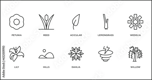 nature outline icons set. thin line icons such as acicular, lemongrass, wedelia, lily, hills, dahlia, vector.