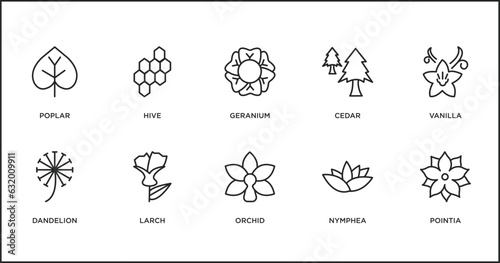 nature outline icons set. thin line icons such as geranium, cedar, vanilla, dandelion, larch, orchid, nymphea vector.