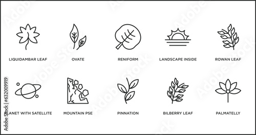 nature outline icons set. thin line icons such as reniform, landscape inside frame, rowan leaf, planet with satellite, mountain pse, pinnation, bilberry leaf vector.