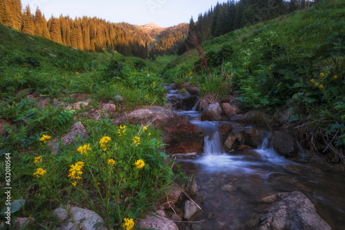 Butakovskoye Gorge in Almaty Kazakhstan with a small stream or spring with clear water in mountains among stones and flowers