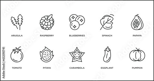 fruits and vegetables outline icons set. thin line icons such as blueberries, spinach, papaya, tomato, pitaya, carambola, eggplant vector.