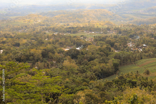 the natural view from above showing the many green trees and forests © Rifqi Muflih