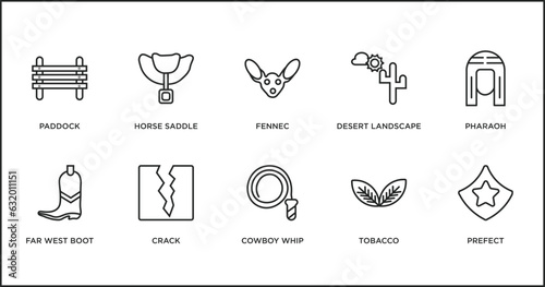desert outline icons set. thin line icons such as fennec, desert landscape, pharaoh, far west boot, crack, cowboy whip, tobacco vector.