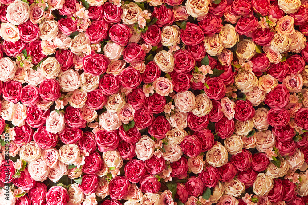 Naklejka premium rose background