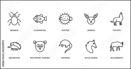 animals outline icons set. thin line icons such as puffer, jerboa, coyote, hegdehog, philippine tarsier, desman, wild horse vector.
