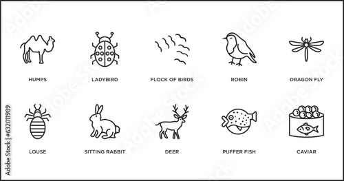 animals outline icons set. thin line icons such as flock of birds, robin, dragon fly, louse, sitting rabbit, deer, puffer fish vector.