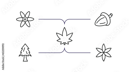 nature outline icons set. thin line icons such as , oak, hemp, pine tree, aster vector.