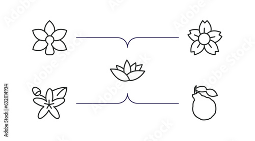 nature outline icons set. thin line icons such as orchid, sakura, nymphea, neroli, bergamot vector.