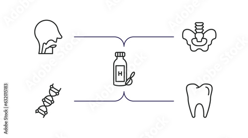 medical outline icons set. thin line icons such as pharynx, pelvic area, syrup medicine bottle, medical chain of dna, molar tooth vector.
