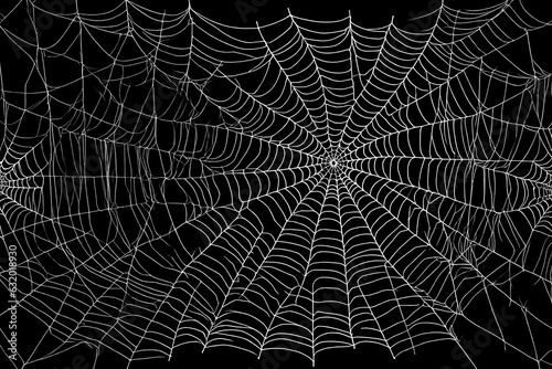 spider web with dew Created using generative AI tools