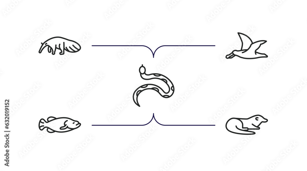 animals outline icons set. thin line icons such as anteater, albatross, copperhead, big fish, otter vector. animals outline icons set. thin line icons such as anteater, albatross, copperhead, big fish, otter vector.
