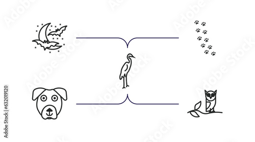 animals outline icons set. thin line icons such as moon and bats, pawprints, heron, boxerhead, wise vector.