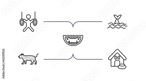 animals outline icons set. thin line icons such as trapeze artists, whale zone, monster mouth, leopard, doghouse vector.