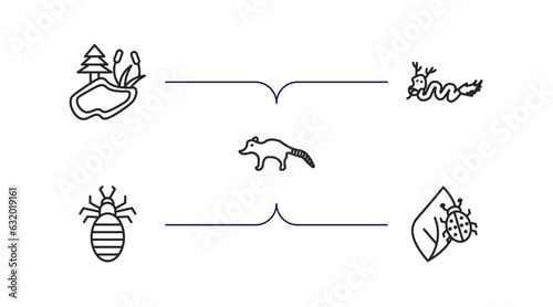 animals outline icons set. thin line icons such as pond, japanese dragon, coati, louse, bug on leaf vector.