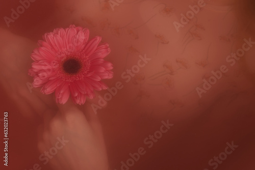 Close-up view of lifeless female body lying underwater in tub with beautiful pink gerbera flower in hands 