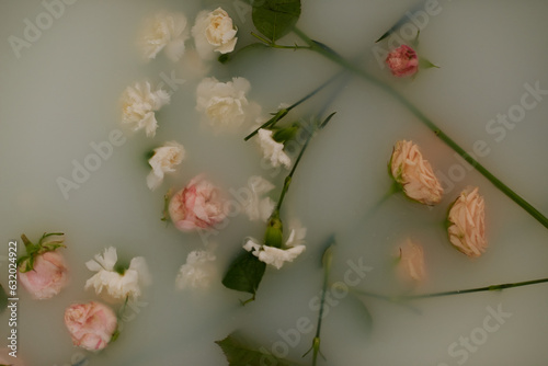 Fading roses lying in cloudy water in bath, directly above view photo