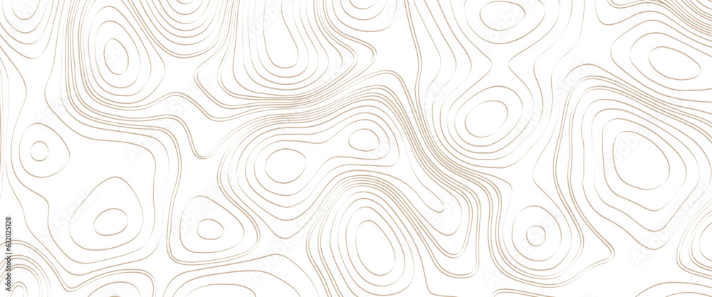 Vector illustration of topographic line contour map, black-white design, luxury white abstract line art, topographic background and texture, monochrome image. 3D waves, white wave paper curved reliefs
