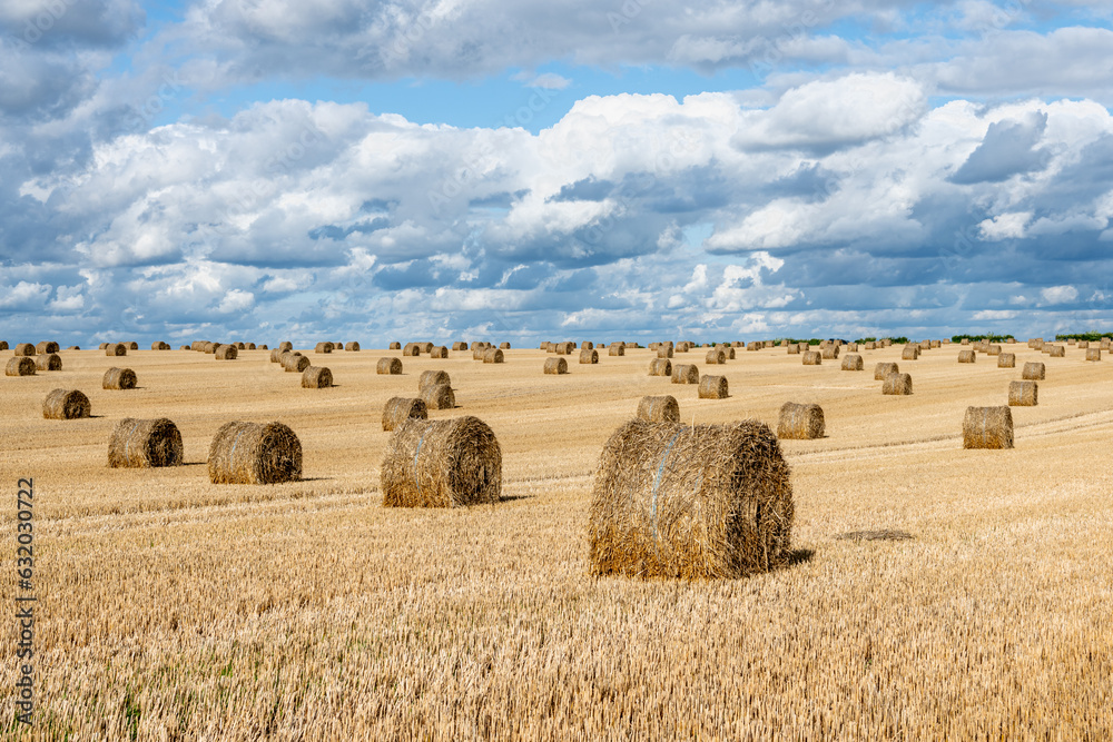 Fototapeta premium Balles de pailles dans un champ de blé après la moisson après un orage. Ciel nuageux
