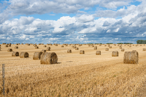 Obraz na plátně Balles de pailles dans un champ de blé après la moisson après un orage