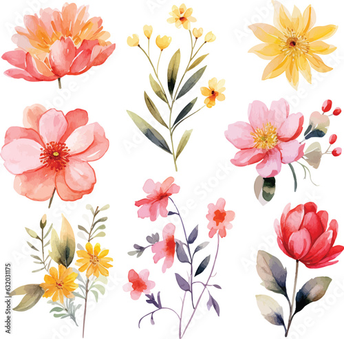 Watercolor floral package collection. Use by fabric, fashion, wedding invitation, template, poster, romance, greeting, spring, bouquet, pattern, decoration and textile.	