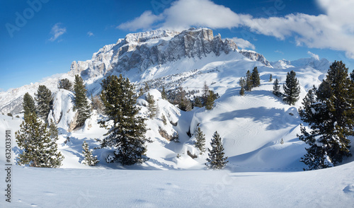 Winter landscape with snow firs and winter mountains. Alps, Italy, Val di Fassa © Nitr