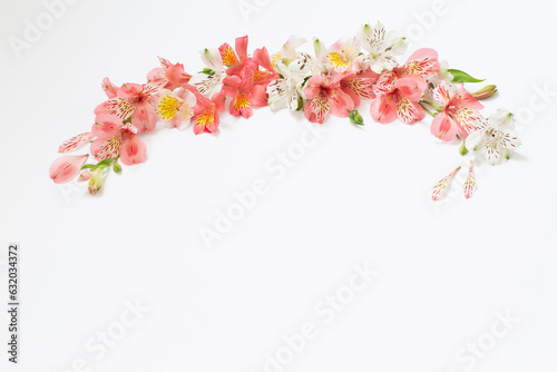 alstroemeria flowers on white  background © Maya Kruchancova