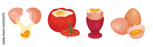 Raw Egg in Cracked Shell and in Tomato Vector Set