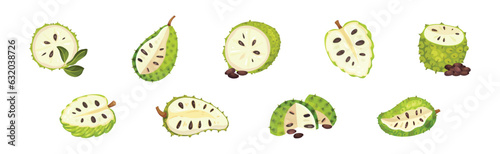 Ripe Green Guanabana Fruit with Thick Rind and Juicy Flesh Vector Set
