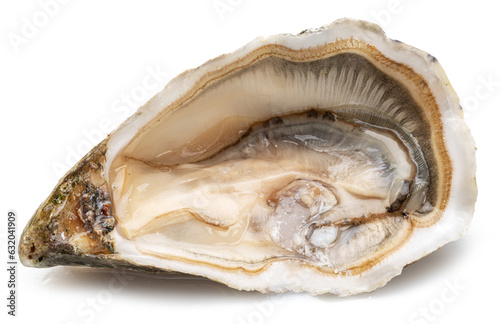 Opened raw oyster isolated on white background.