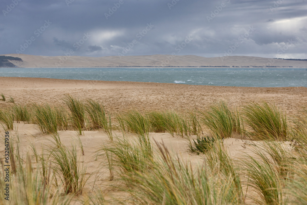 Arcachon bay and Cape Ferret in Aquitaine. Atlantic coastline, France Arcachon bay and Cape Ferret in Aquitaine. Atlantic coastline, France