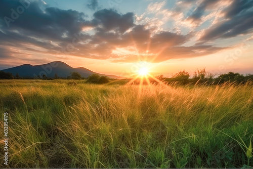 Meadow Sunset panorama View  Serene Nature Landscape Colorful Sky. Wide Countryside rye wheat field in the summer on cloudy sky background. World environment day concept  Green energy carbon credit.