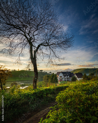 sunset over the river