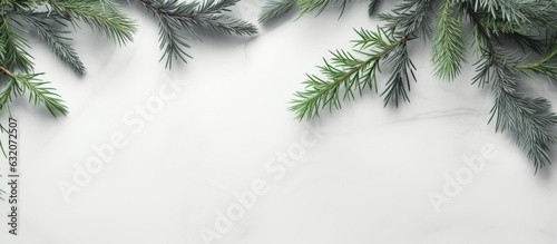 A top view of fir branches on a light gray background. photo